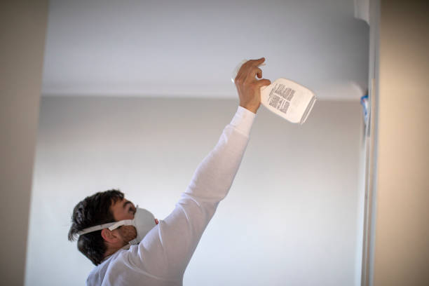 Best Crawl Space Mold Removal  in Hauser, ID